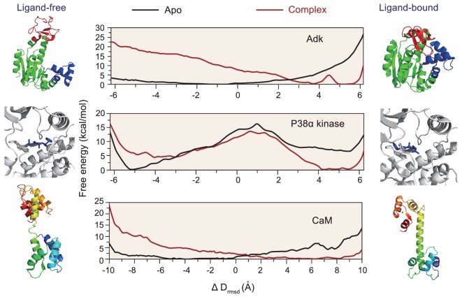 Figure 5.