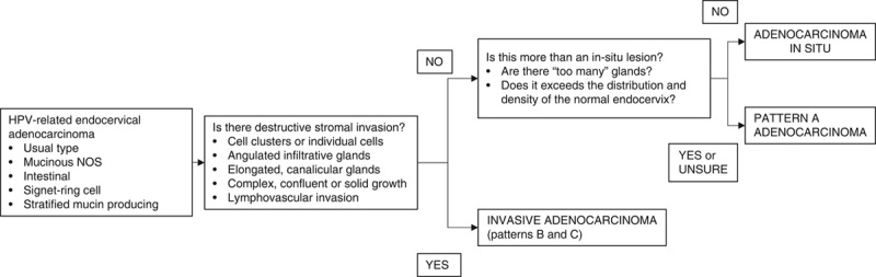 FIG. 11