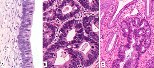 FIG. 8