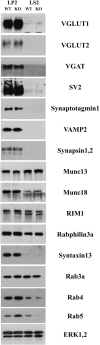 Figure 3.