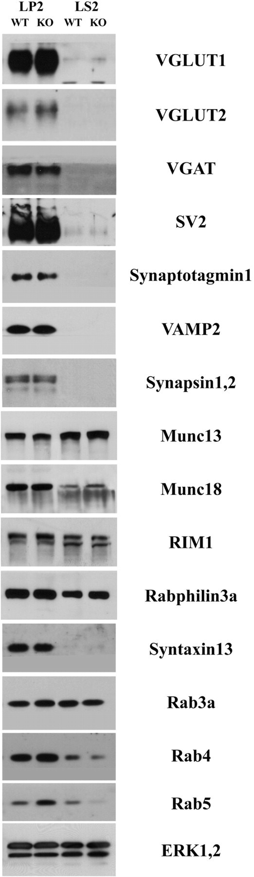 Figure 3.