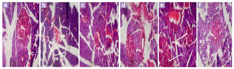 Figure 4: