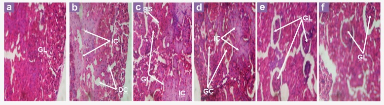 Figure 5: