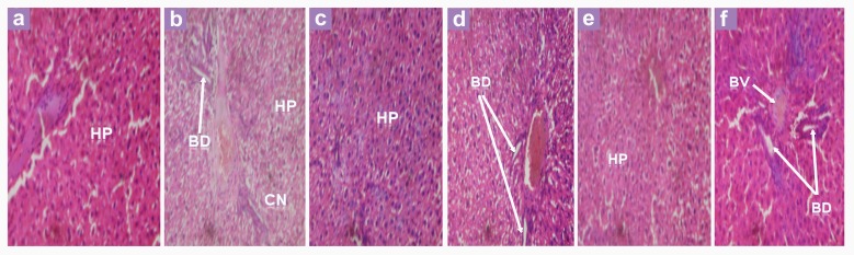 Figure 3: