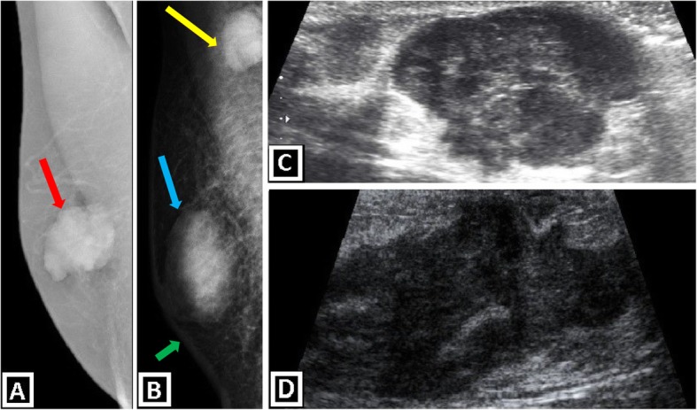 Fig. 11