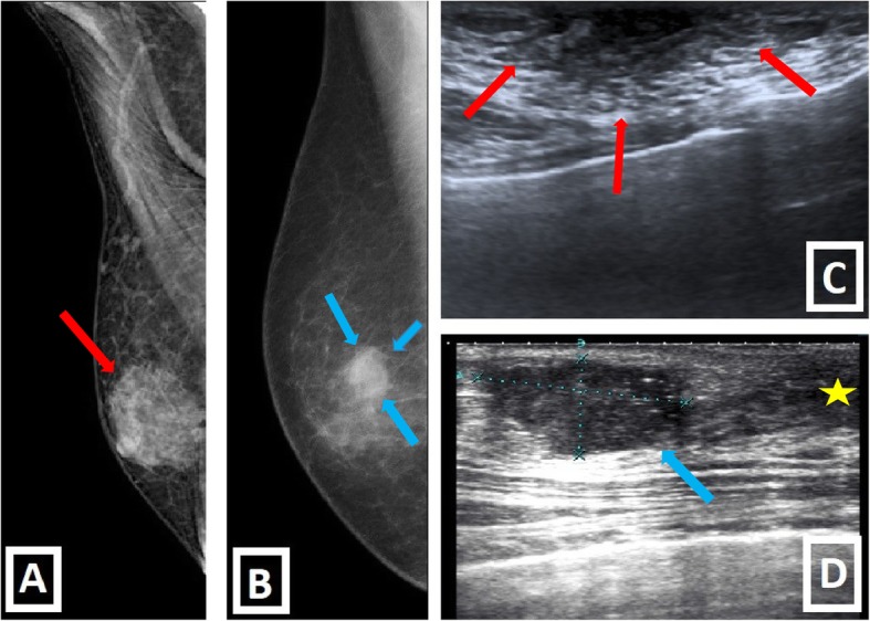 Fig. 5