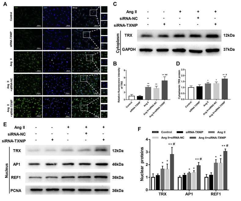 Figure 6