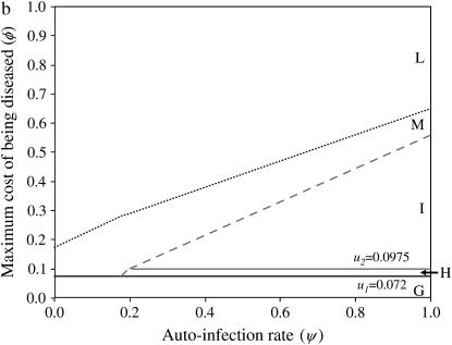 Figure 3.—