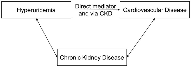 Figure 1c