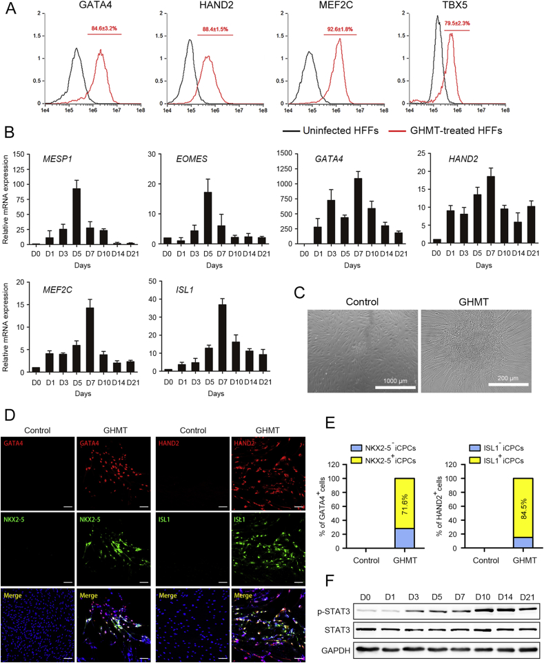 Figure 2