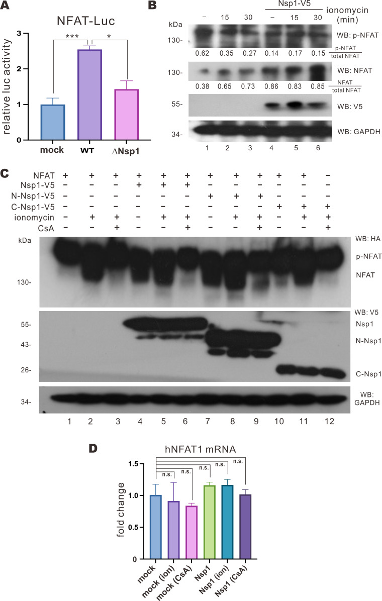 Fig 5