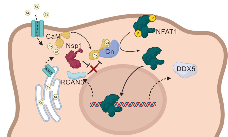 Fig 10