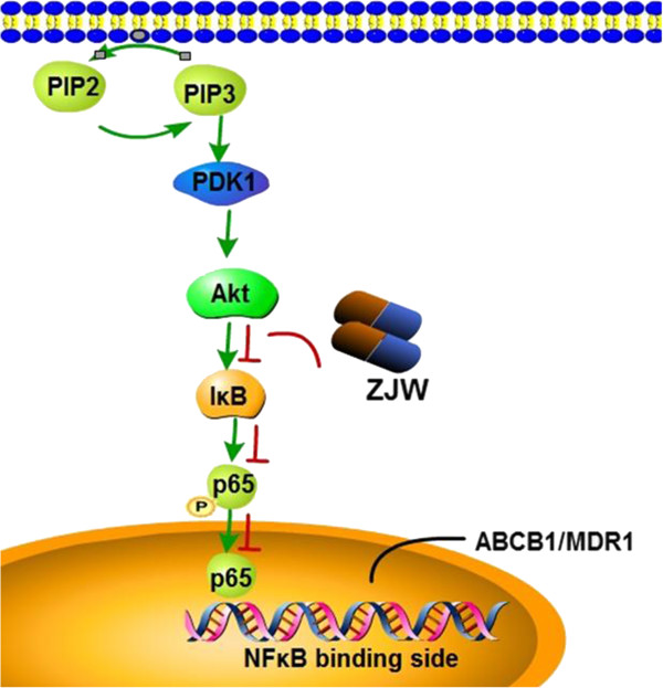 Figure 6