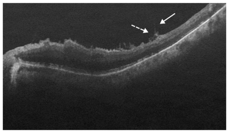 Fig. 5