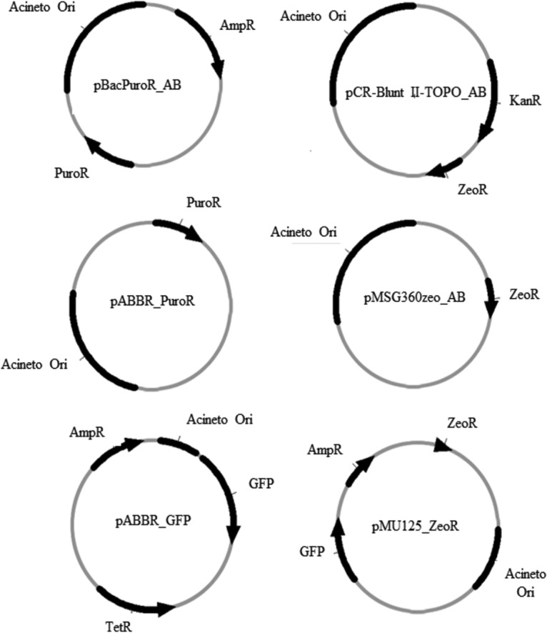 FIG 2 