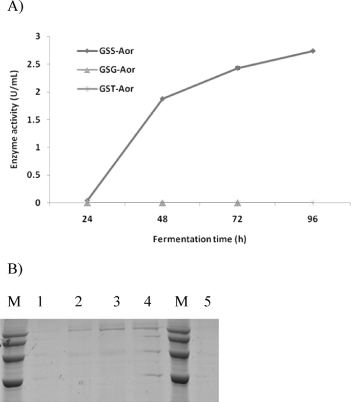 Fig. 3