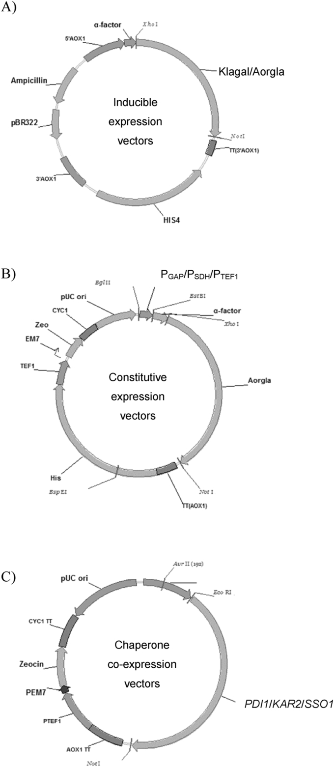 Fig. 1