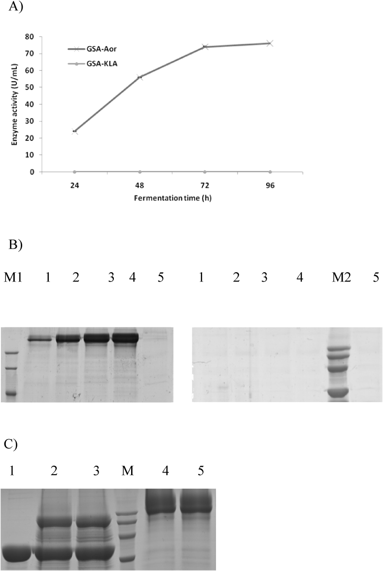 Fig. 2