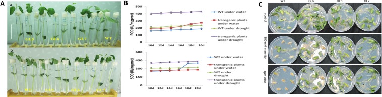 Figure 6