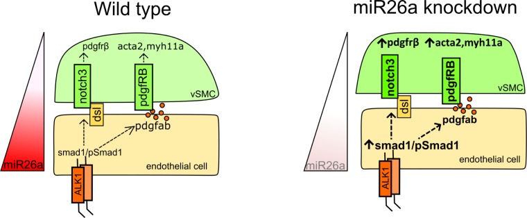 Fig 8