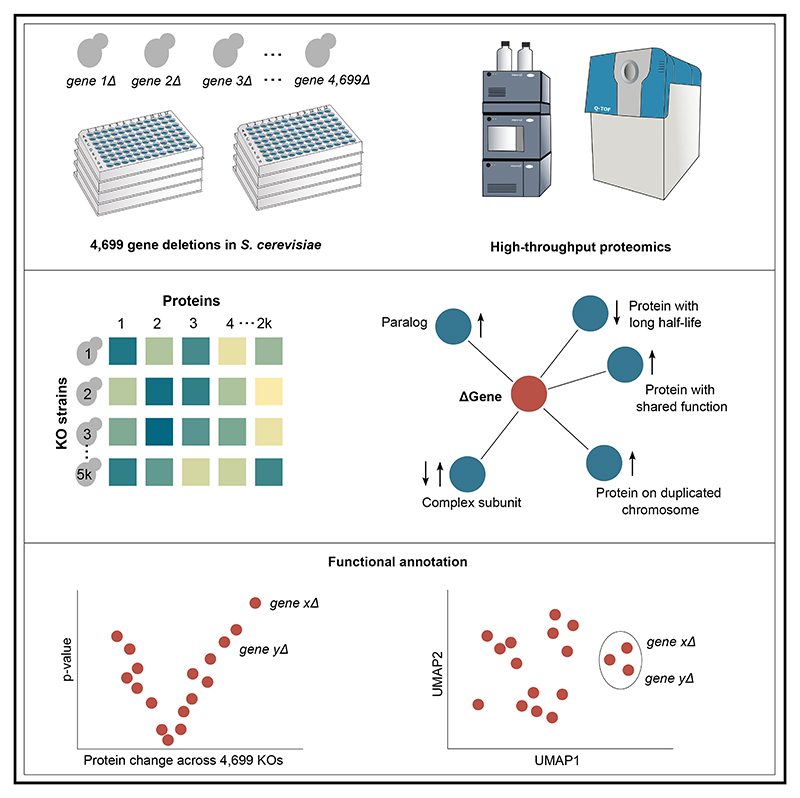 Graphical abstract