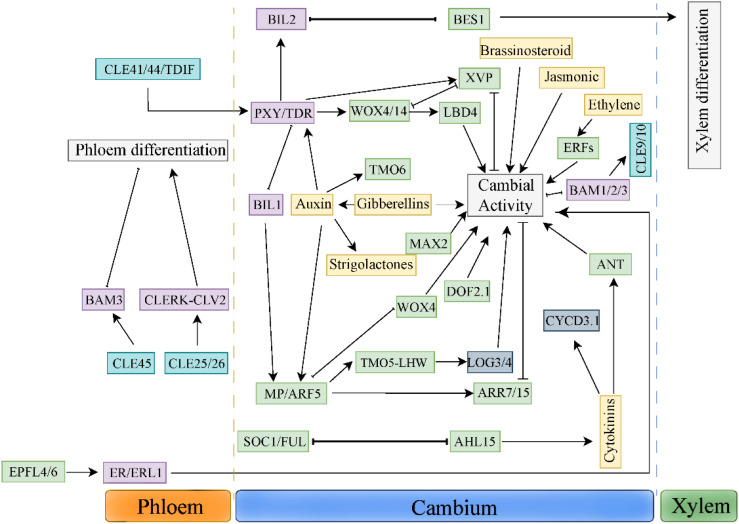 Figure 2