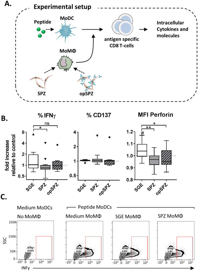 Fig 6