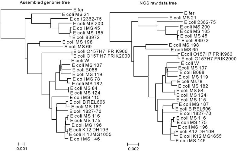 Figure 6.