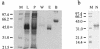 FIG. 5.