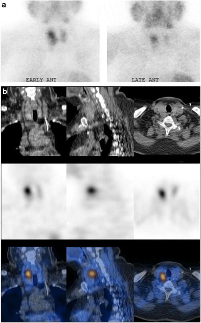 Fig. 8