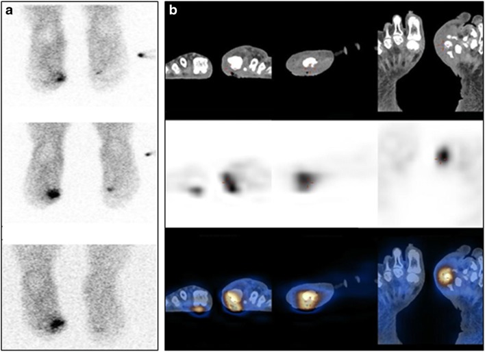 Fig. 7