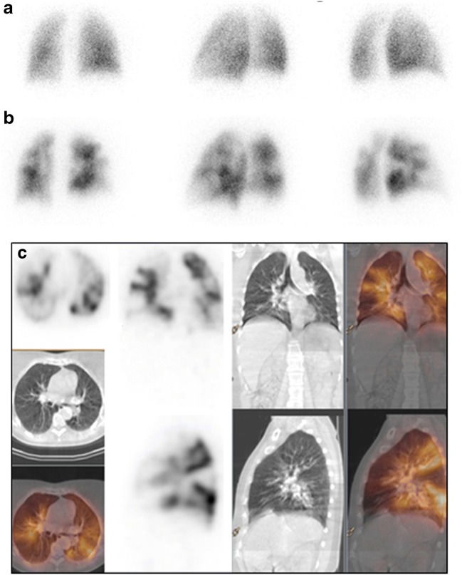 Fig. 9