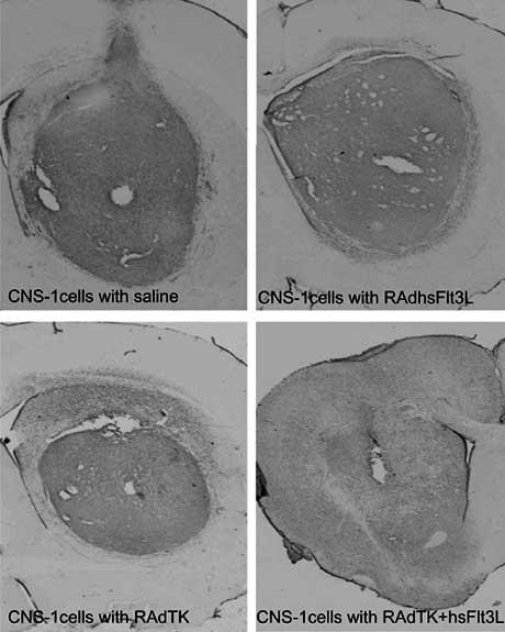 Fig. (2)