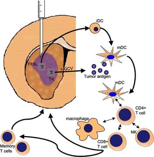 Fig. (1)