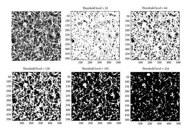 Figure 5