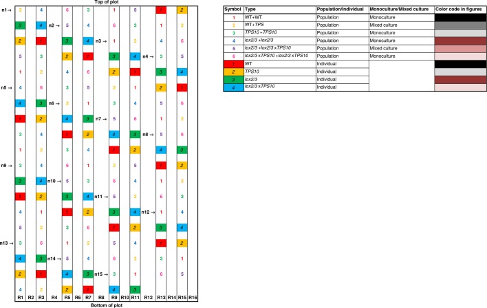 Figure 2—figure supplement 2.