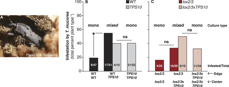 Figure 10.