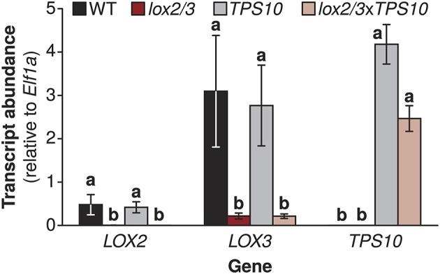 Appendix 1—Figure 2.