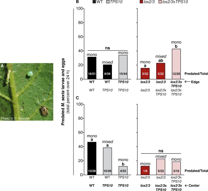 Figure 11.