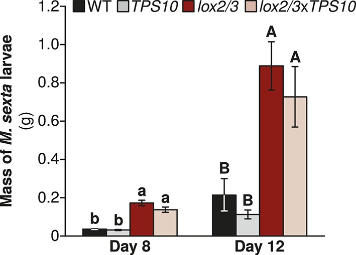 Figure 4.