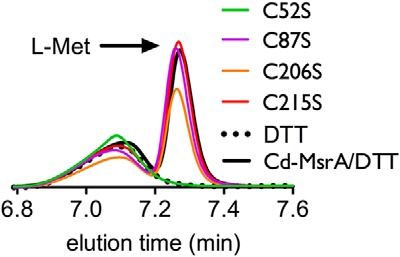 FIGURE 1.