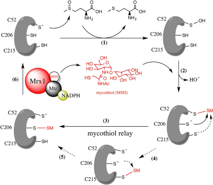 FIGURE 7.