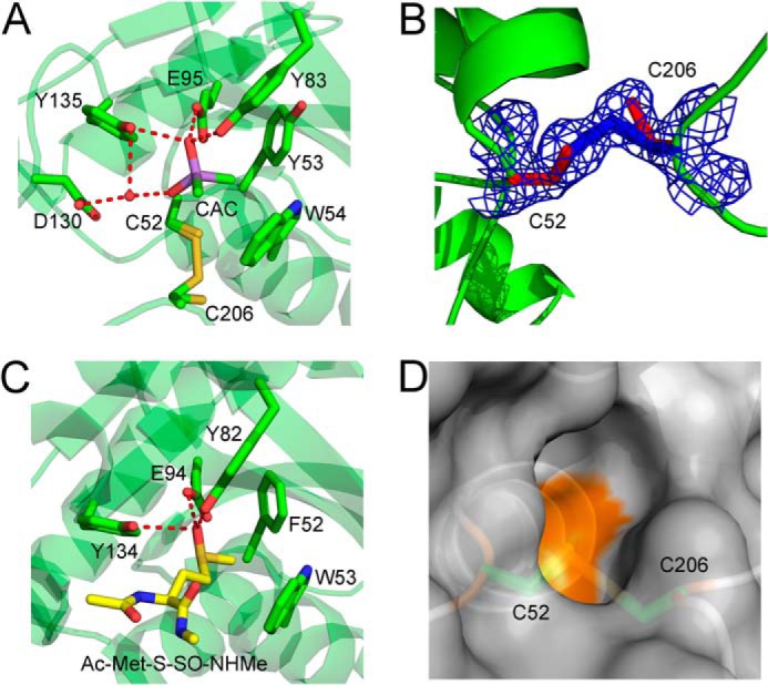 FIGURE 4.