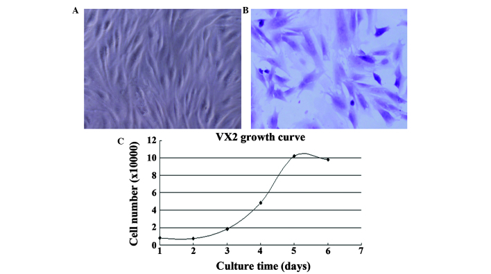 Figure 2.