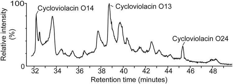 Figure 2.