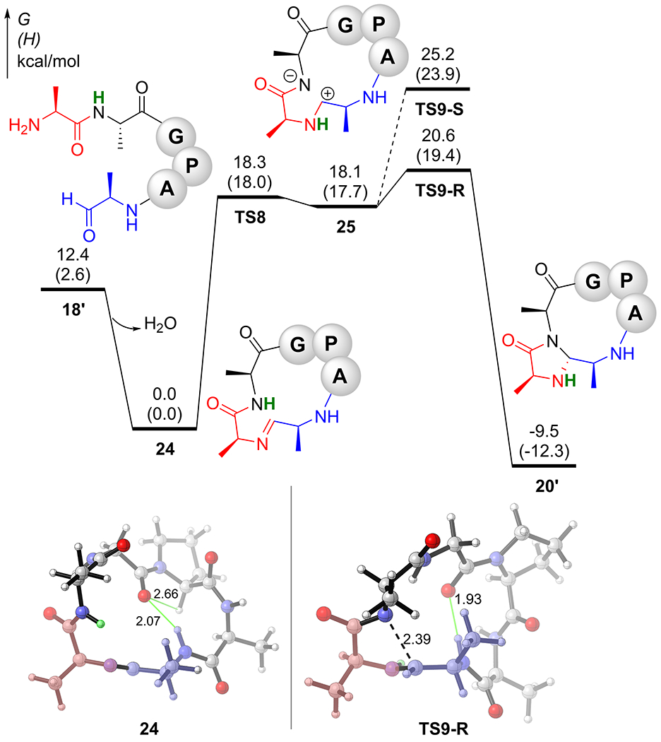 Figure 7.