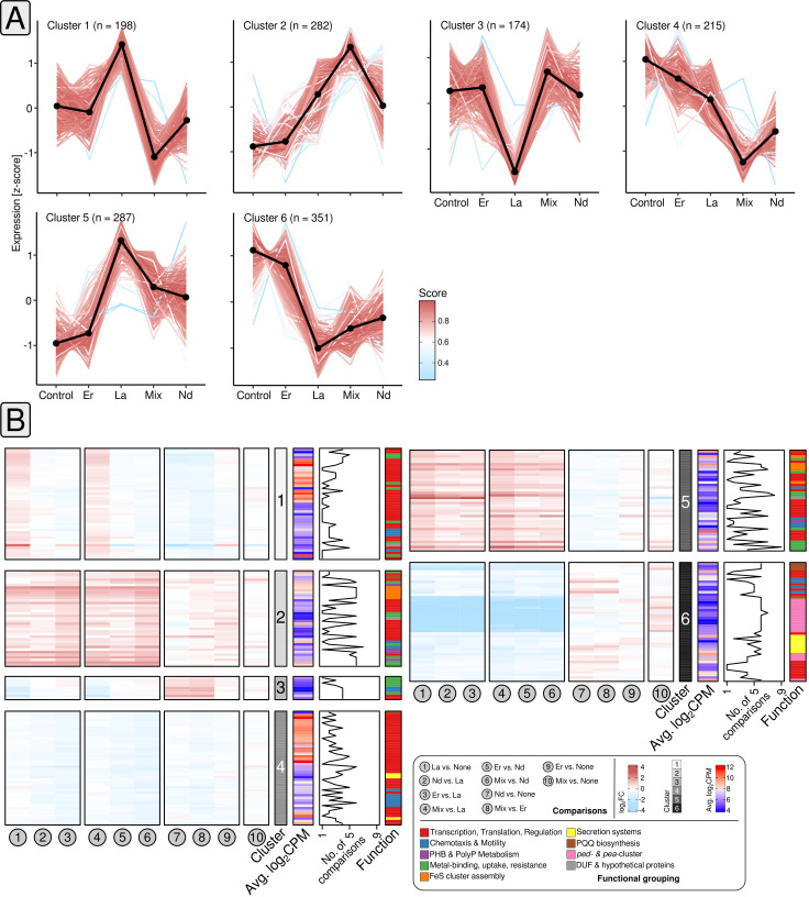 The figure shows line graphs, with expression trends of six gene clusters across different conditions and heatmaps of gene expression data, organized into six clusters with color-coded functional bar graphs.