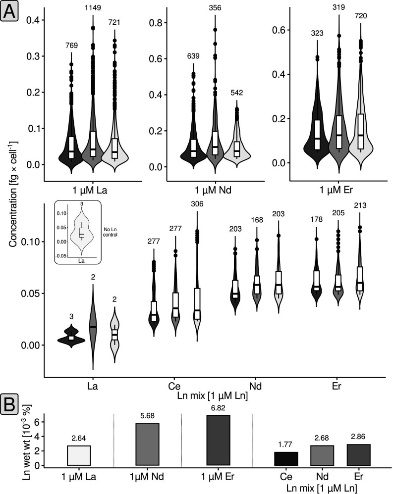 The figure includes violin plots showing the concentration distribution for different lanthanide elements (La, Ce, Nd, Er) and their mixes at 1 μM. Also, bar graphs represent the wet weight percentage of various lanthanides under the same conditions.