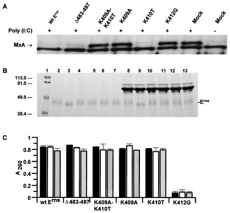 FIG. 8.