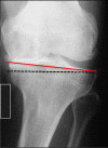 Fig. 5